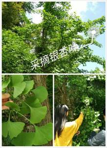 mmexport1461054877385