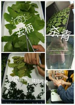 mmexport1461054879774