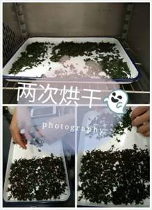 mmexport1461054882098